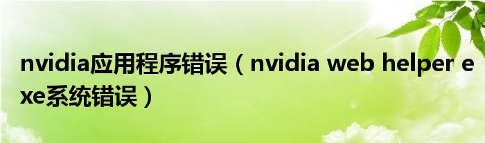 nvidia应用程序错误(nvidia web helper exe系统错误)