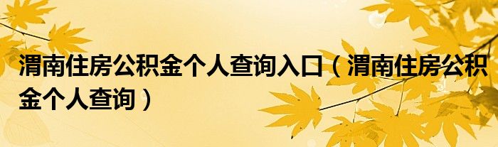 渭南住房公积金个人查询入口(渭南住房公积金个人查询)