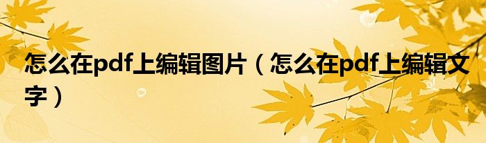 怎么在pdf上编辑图片(怎么在pdf上编辑文字)