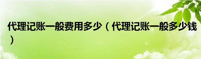 代理记账一般费用多少(代理记账一般多少钱)