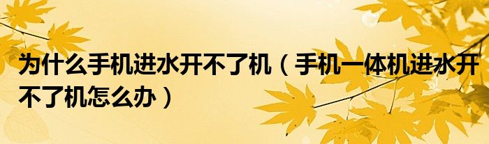 为什么手机进水开不了机(手机一体机进水开不了机怎么办)