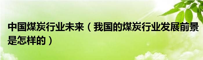 中国煤炭行业未来(我国的煤炭行业发展前景是怎样的)