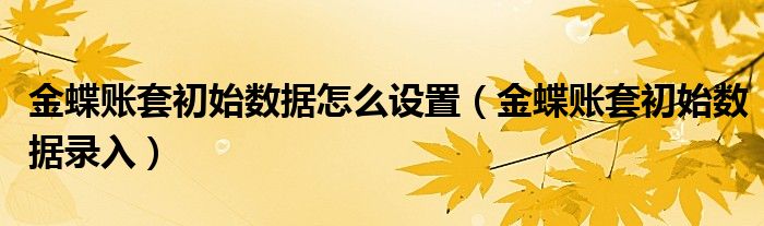 金蝶账套初始数据怎么设置(金蝶账套初始数据录入)