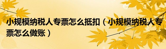 小规模纳税人专票怎么抵扣(小规模纳税人专票怎么做账)