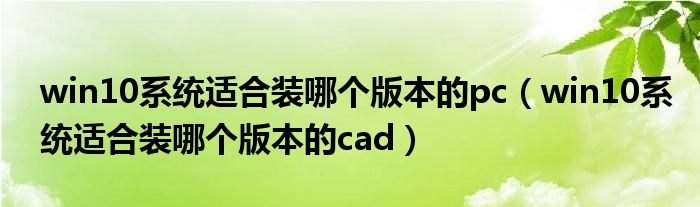 win10系统适合装哪个版本的pc(win10系统适合装哪个版本的cad)