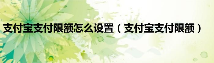 支付宝支付限额怎么设置(支付宝支付限额)