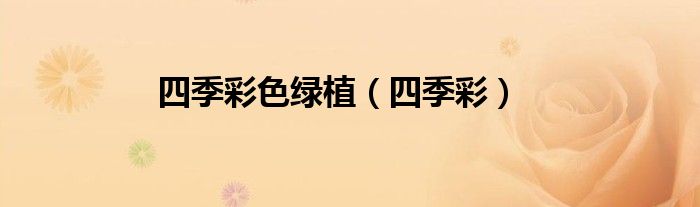 四季彩色绿植（四季彩）