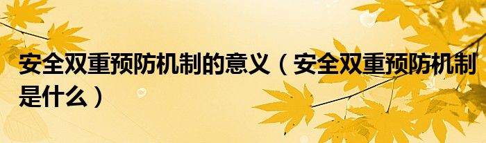 安全双重预防机制的意义(安全双重预防机制是什么)
