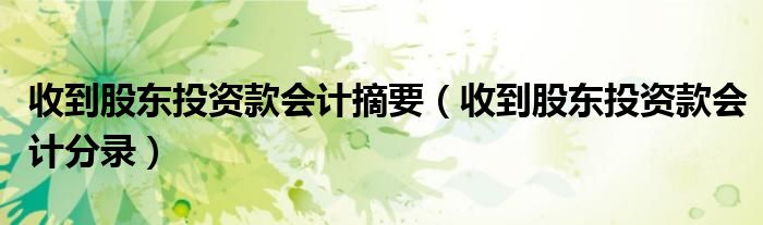 收到股东投资款会计摘要(收到股东投资款会计分录)