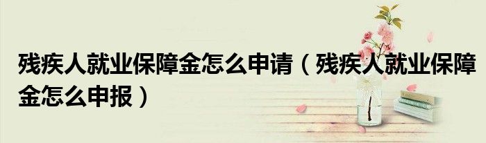 残疾人就业保障金怎么申请(残疾人就业保障金怎么申报)
