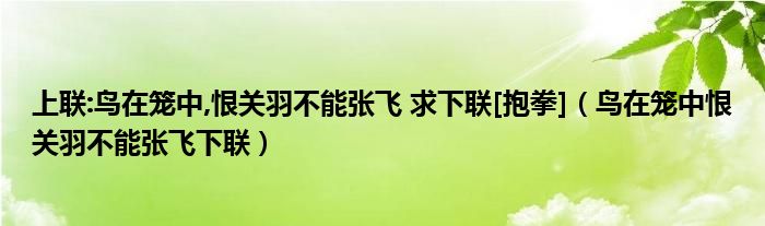 上联:鸟在笼中,恨关羽不能张飞 求下联[抱拳]（鸟在笼中恨关羽不能张飞下联）