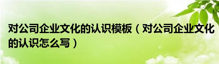 对公司企业文化的认识模板(对公司企业文化的认识怎么写)