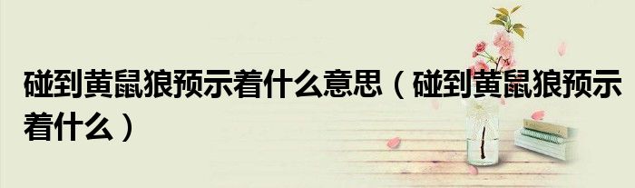 碰到黄鼠狼预示着什么意思(碰到黄鼠狼预示着什么)
