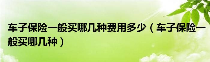 车子保险一般买哪几种费用多少(车子保险一般买哪几种)
