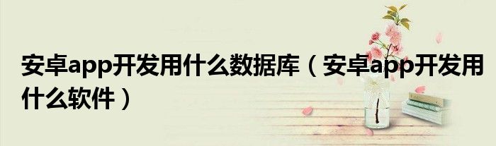 安卓app开发用什么数据库(安卓app开发用什么软件)