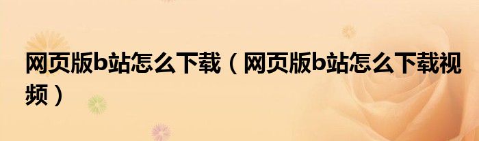 网页版b站怎么下载(网页版b站怎么下载视频)