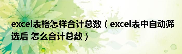 excel表格怎样合计总数(excel表中自动筛选后 怎么合计总数)