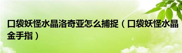口袋妖怪水晶洛奇亚怎么捕捉(口袋妖怪水晶金手指)