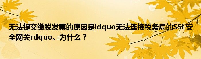 无法提交缴税发票的原因是ldquo无法连接税务局的SSL安全网关rdquo。为什么?