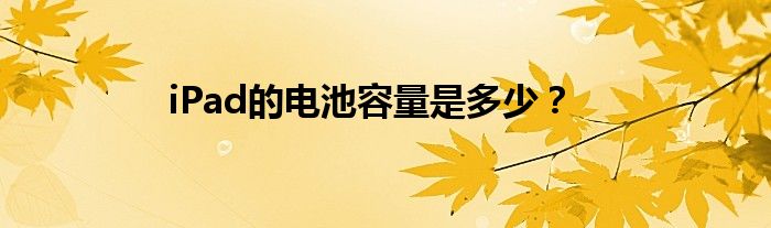 iPad的电池容量是多少?