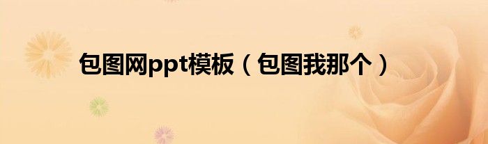 包图网ppt模板(包图我那个)