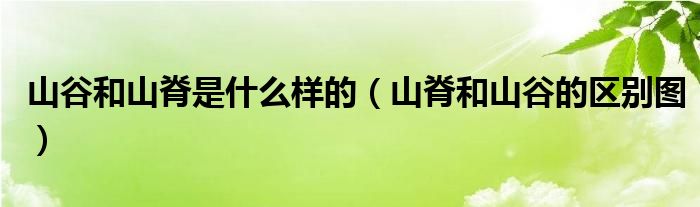 山谷和山脊是什么样的(山脊和山谷的区别图)