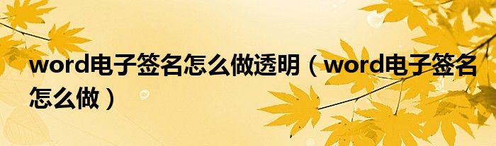 word电子签名怎么做透明(word电子签名怎么做)