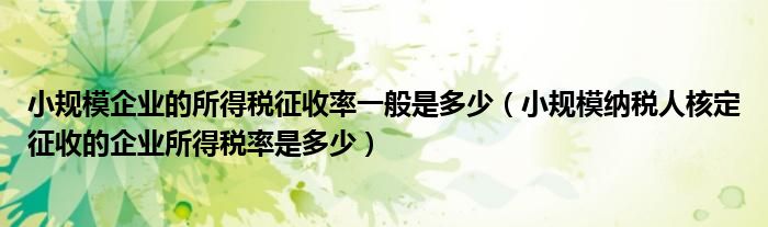 小规模企业的所得税征收率一般是多少(小规模纳税人核定征收的企业所得税率是多少)