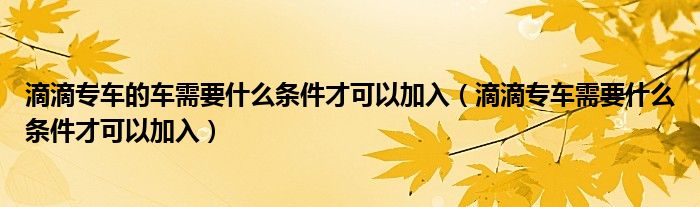 滴滴专车的车需要什么条件才可以加入(滴滴专车需要什么条件才可以加入)