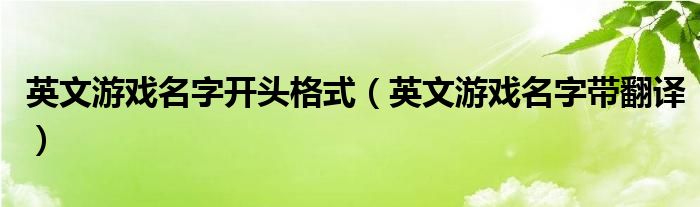 英文游戏名字开头格式(英文游戏名字带翻译)