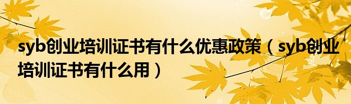 syb创业培训证书有什么优惠政策(syb创业培训证书有什么用)