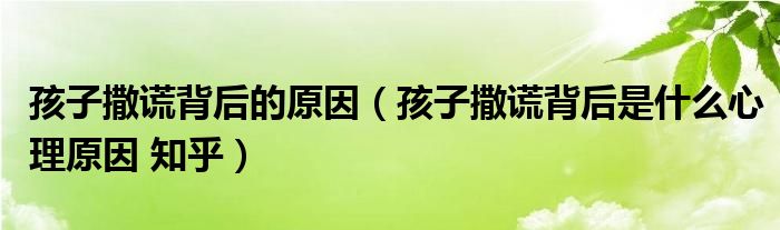 孩子撒谎背后的原因(孩子撒谎背后是什么心理原因 知乎)