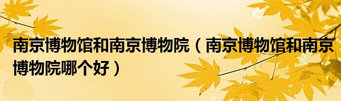 南京博物馆和南京博物院(南京博物馆和南京博物院哪个好)