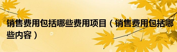 销售费用包括哪些费用项目(销售费用包括哪些内容)