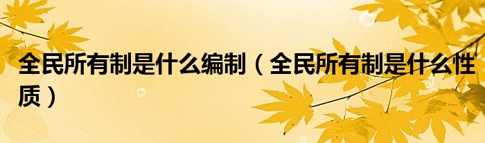 全民所有制是什么编制(全民所有制是什么性质)