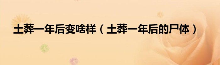 土葬一年后变啥样(土葬一年后的尸体)