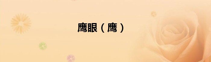 鹰眼（鹰）