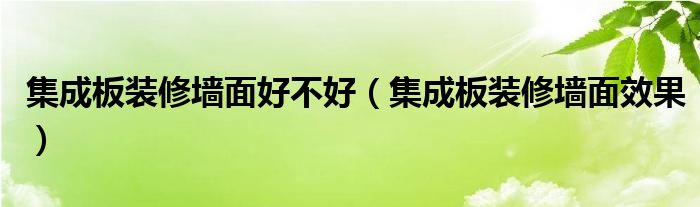集成板装修墙面好不好(集成板装修墙面效果)