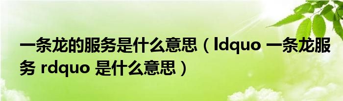 一条龙的服务是什么意思(ldquo 一条龙服务 rdquo 是什么意思)