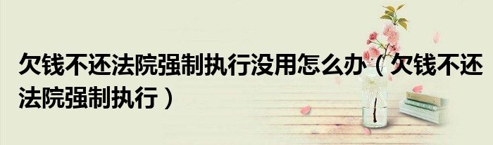 欠钱不还法院强制执行没用怎么办(欠钱不还法院强制执行)