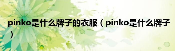 pinko是什么牌子的衣服(pinko是什么牌子)