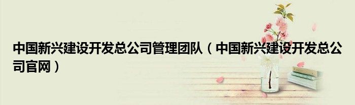 中国新兴建设开发总公司管理团队(中国新兴建设开发总公司官网)