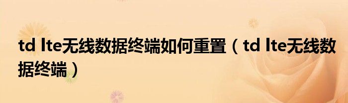 td lte无线数据终端如何重置(td lte无线数据终端)