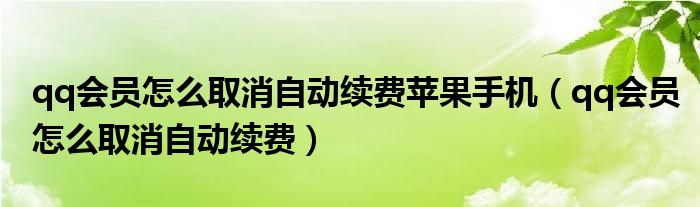 qq会员怎么取消自动续费苹果手机(qq会员怎么取消自动续费)