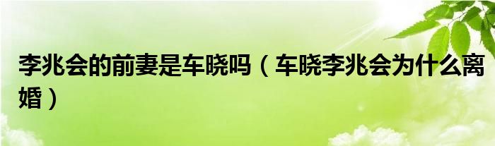 李兆会的前妻是车晓吗(车晓李兆会为什么离婚)