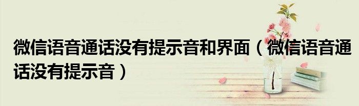 微信语音通话没有提示音和界面(微信语音通话没有提示音)