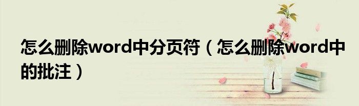 怎么删除word中分页符(怎么删除word中的批注)
