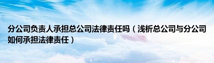分公司负责人承担总公司法律责任吗(浅析总公司与分公司如何承担法律责任)