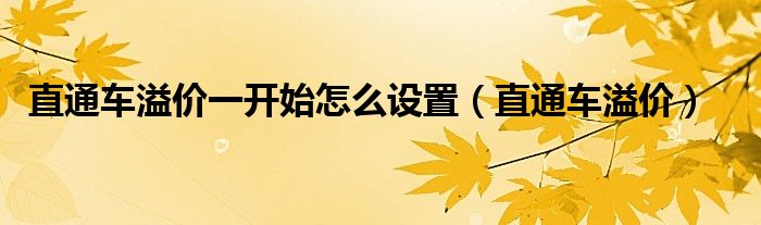 直通车溢价一开始怎么设置(直通车溢价)