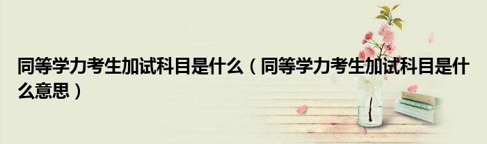 同等学力考生加试科目是什么(同等学力考生加试科目是什么意思)